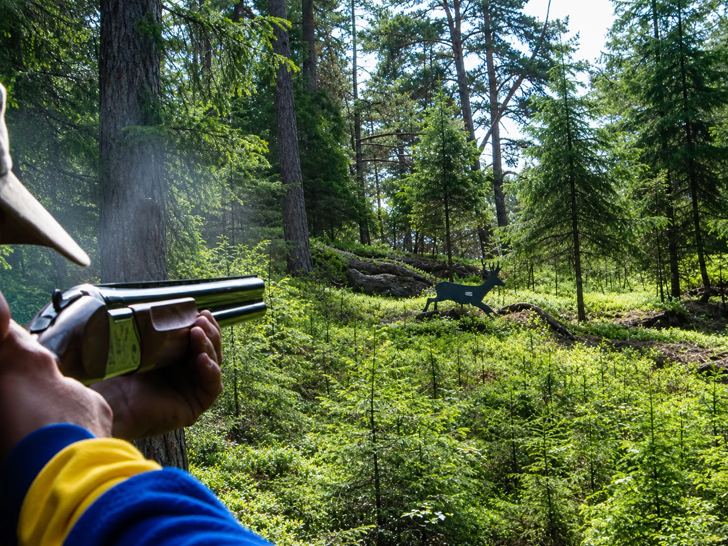 Skytt på jaktstig siktar mot ett älgmål i svensk sommarskog